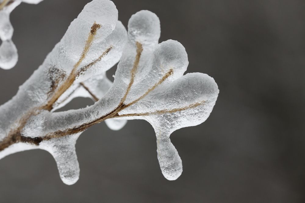 How Do You Protect Your Home from Snow Melt?  