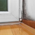 5 steps to follow when searching for mould